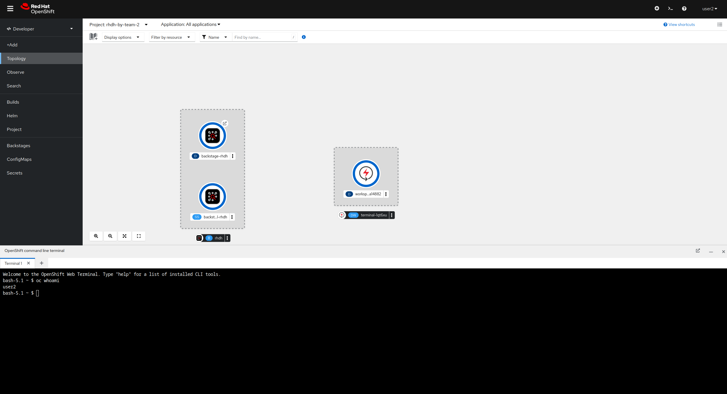 Web Terminal UI opened